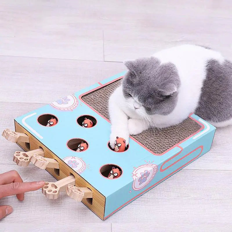 Interactive Cat Teaser Toy